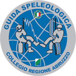Logo Collegio