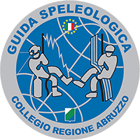 Logo Collegio